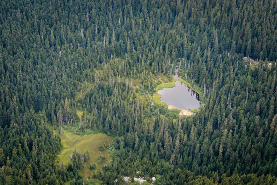 needle peak hike 25 | Hiking Needle Peak at the Coquihalla Summit