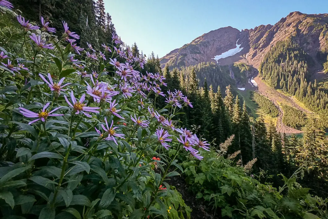 mount mcfarlane hike 15 | Hiking Mount MacFarlane and Pierce Lake in Chilliwack