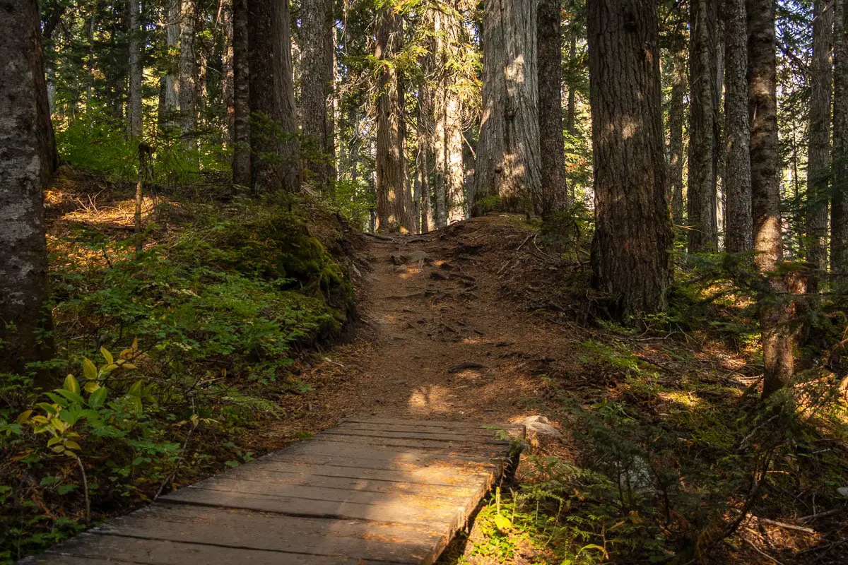 The Rainbow Lake Hike in Whistler 2 rainbow lake hike 5 | The Rainbow Lake Hike in Whistler