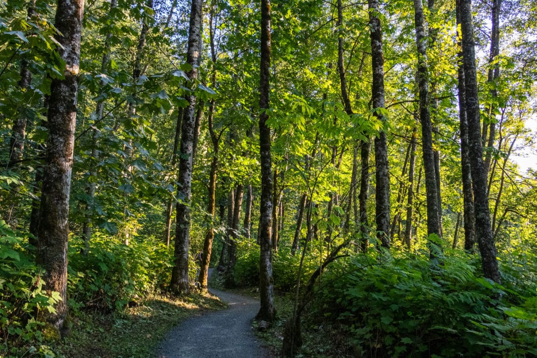 Hiking Mount Thom In Chilliwack Outdoor Vancouver