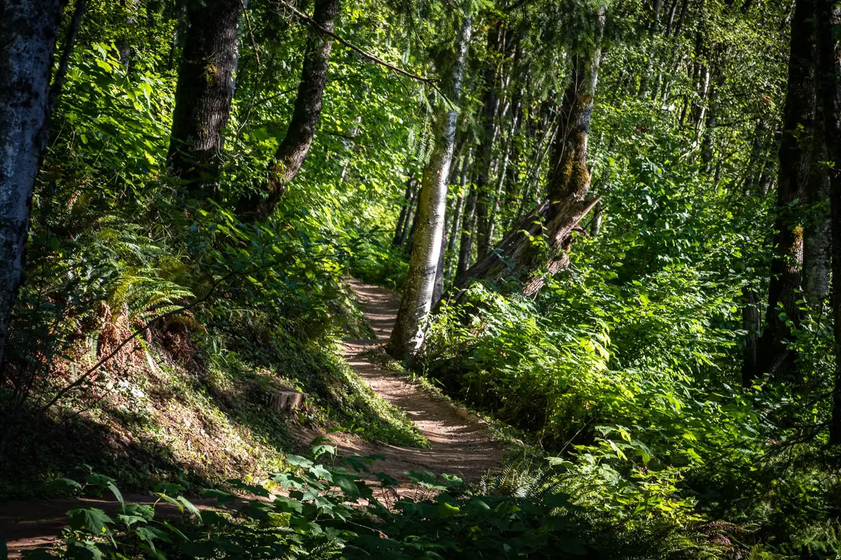 mount thom hike 5 | Hiking Mount Thom in Chilliwack
