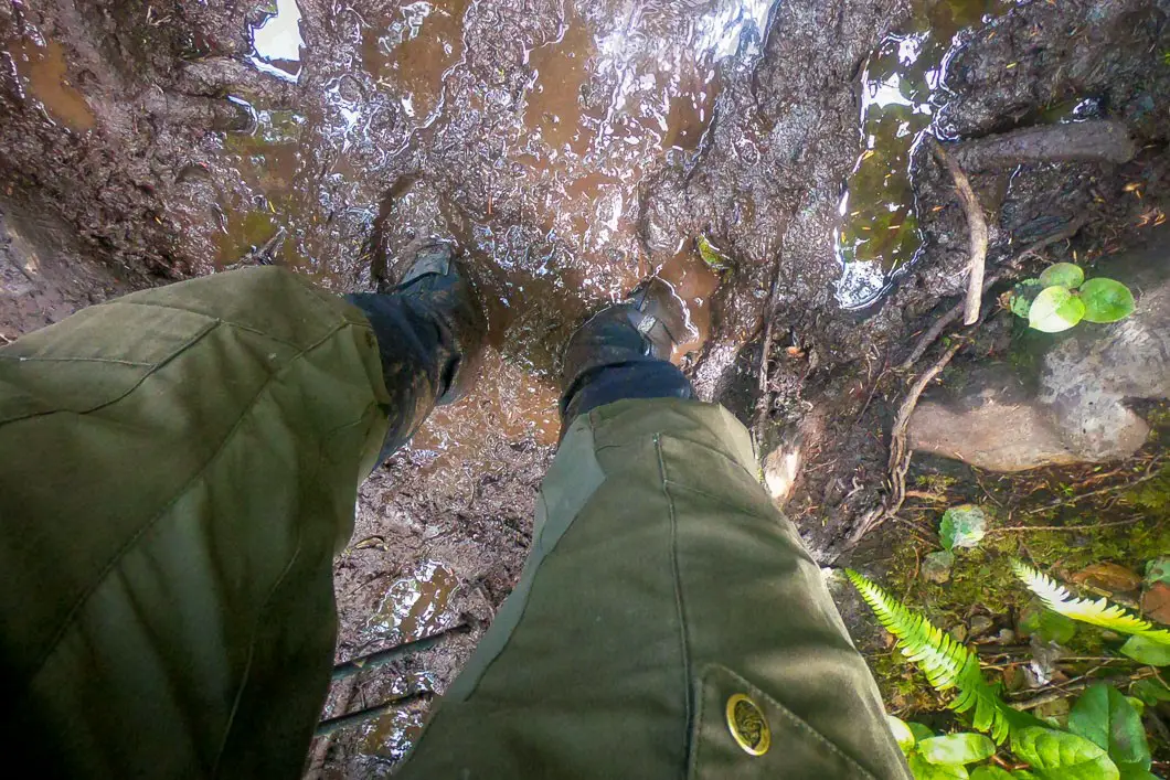 Hiking the Juan de Fuca Marine Trail 11 juan de fuca trail 14 | Hiking the Juan de Fuca Marine Trail