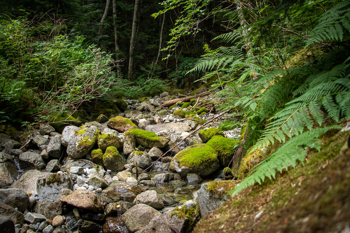 beth lake hike 9 | Beth Lake Hike near Squamish