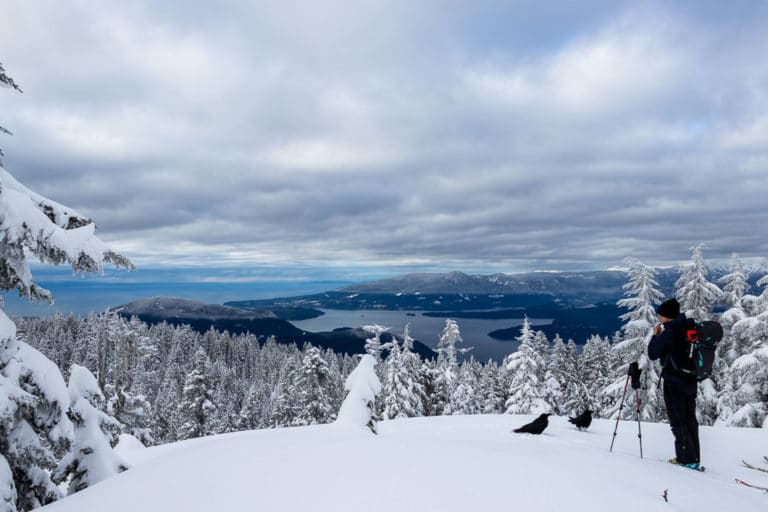Black Mountain Snowshoe At Cypress Provincial Park