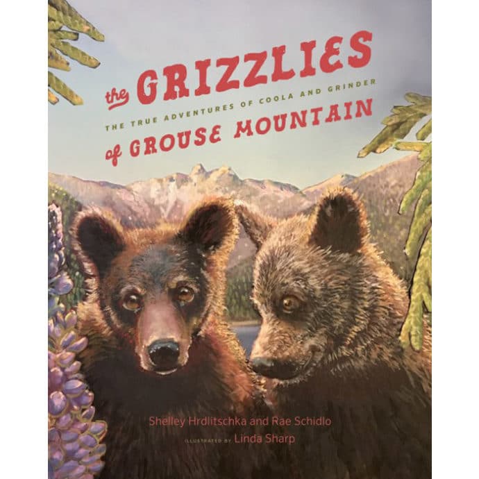 grizzly | The Grizzlies of Grouse Mountain: The True Adventures of Coola and Grinder
