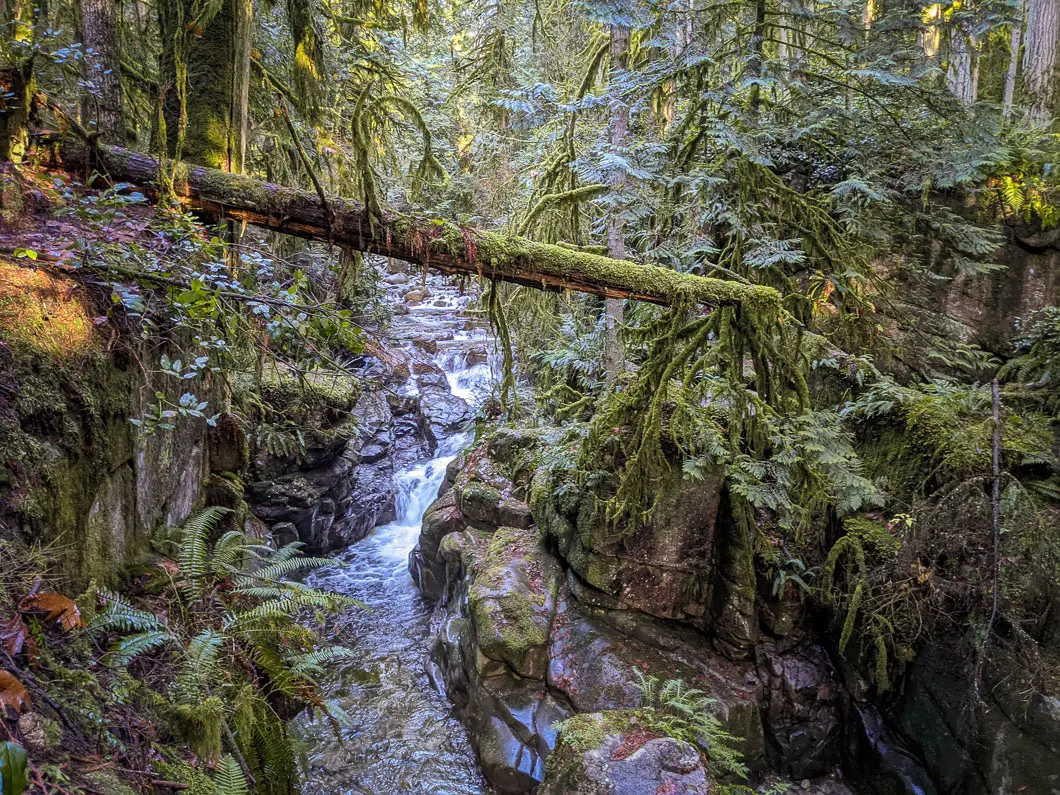 cypress falls canyon | Cypress Falls Hike in West Vancouver