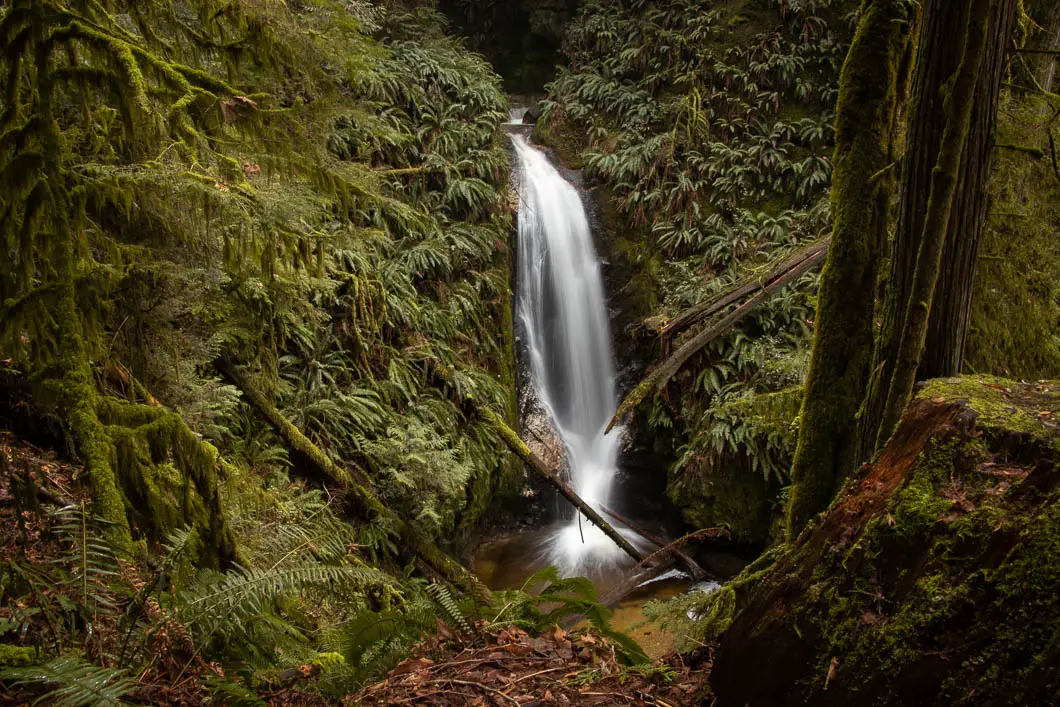 burnett falls 15 1 | Burnett Falls Hike in Sechelt, B.C.