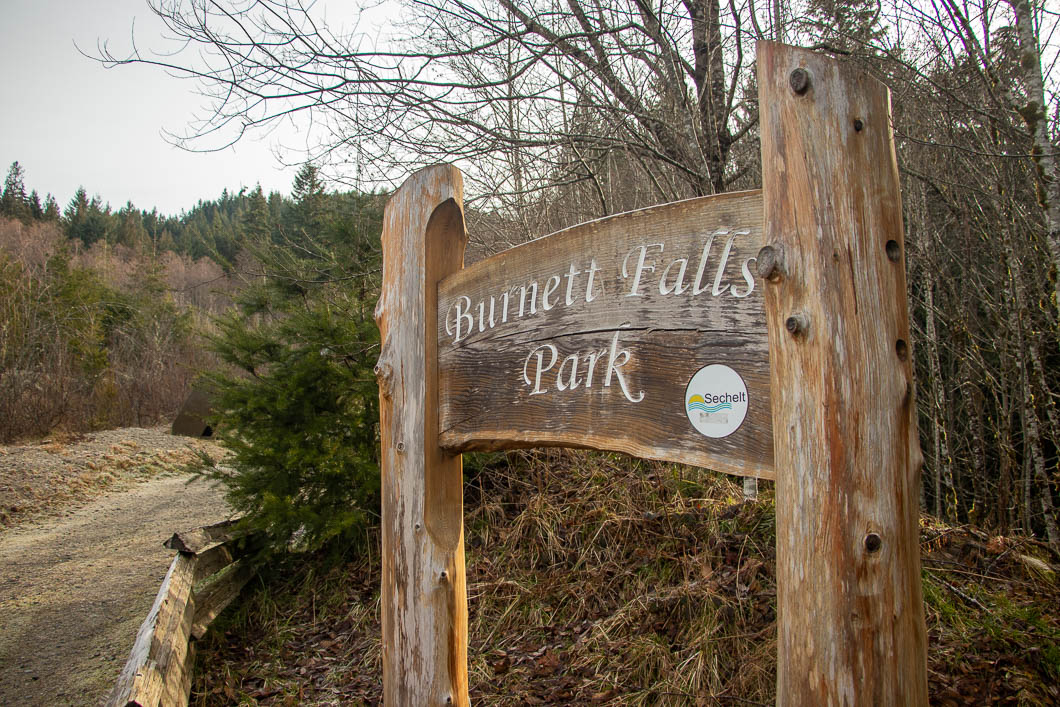 burnett falls 6 | Burnett Falls Hike in Sechelt, B.C.