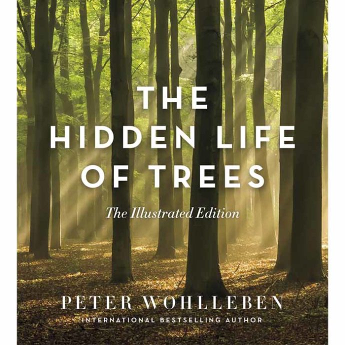 hidden life | The Hidden Life of Trees: The Illustrated Edition