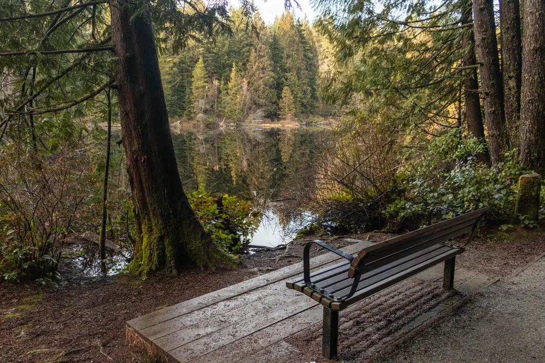 mundy park hike 9 | Hiking the Mundy Park Trails in Coquitlam, B.C.