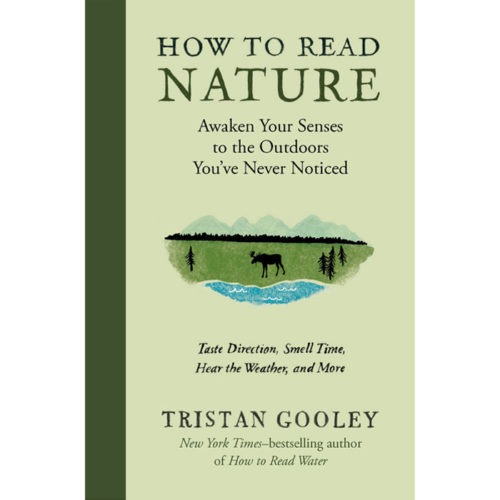 How to Read Nature: Awaken Your Senses to the Outdoors You've Never Noticed