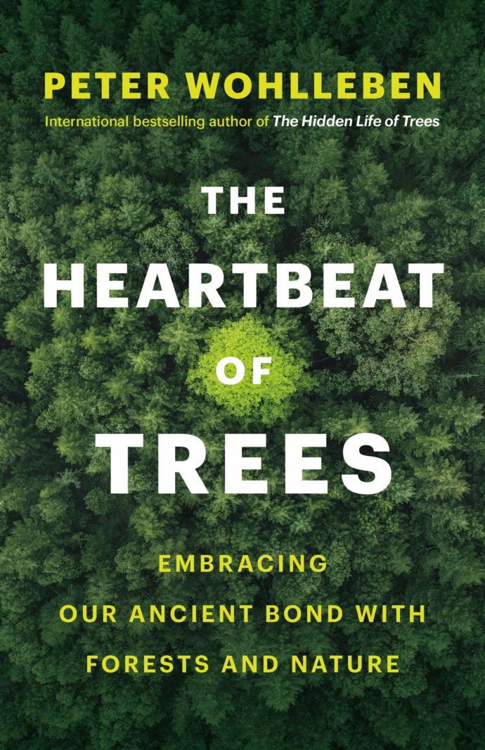 A1ERJj6yQYL | The Heartbeat of Trees: Embracing Our Ancient Bond with Forests and Nature