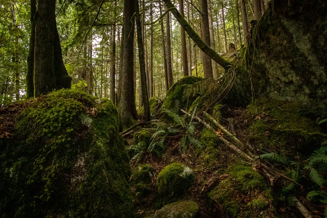 slhanay squamish 1 | Slhanay Peak Trail Hike in Squamish