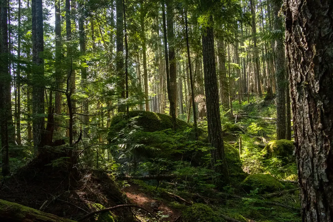 slhanay squamish 27 | Slhanay Peak Trail Hike in Squamish